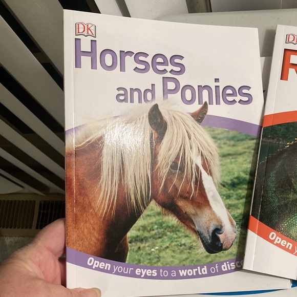 DK Animal Kingdom Set of 4 Animal Books - Picture 5 of 7